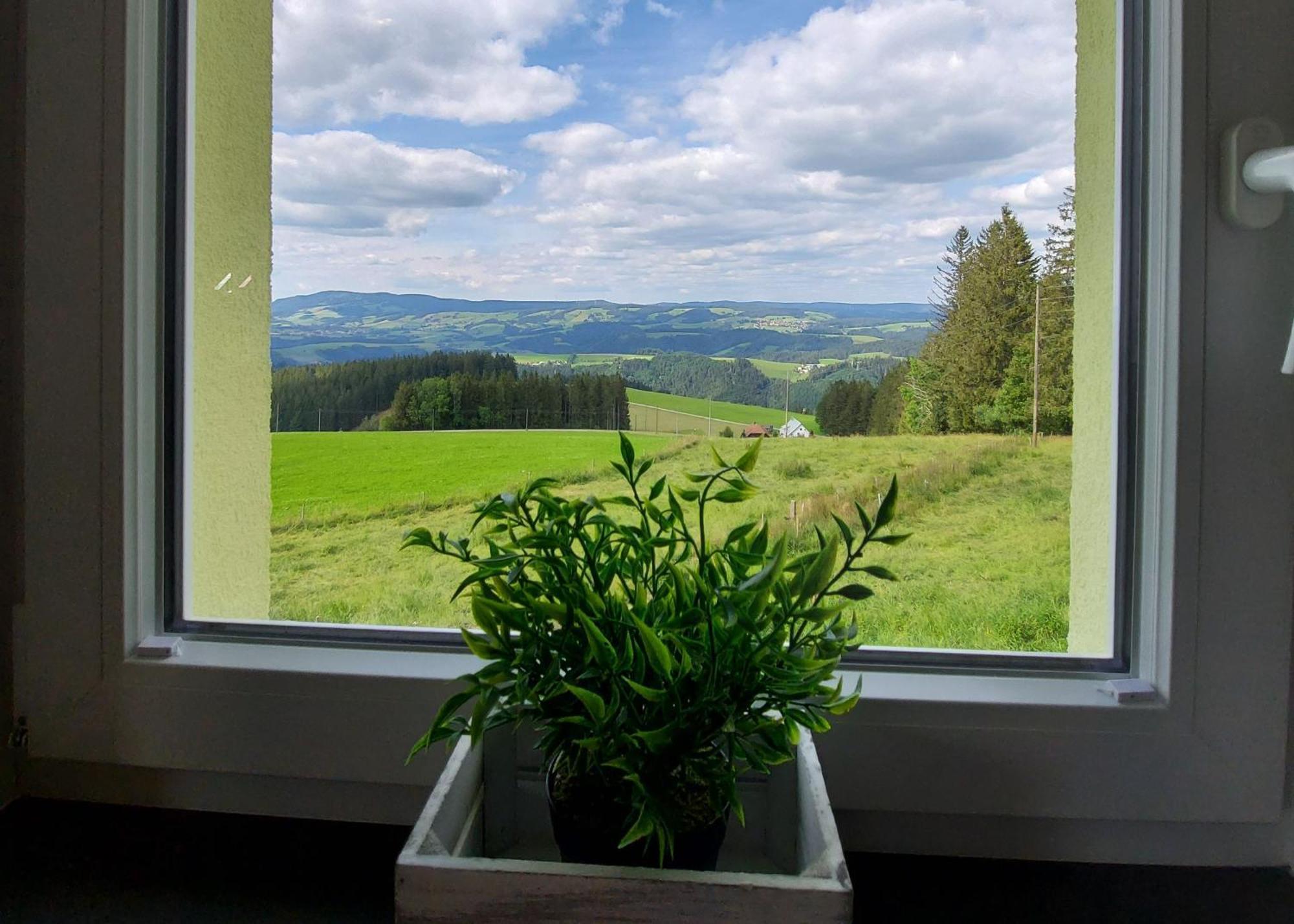 Baeuerleshuette Apartment Breitnau Bagian luar foto