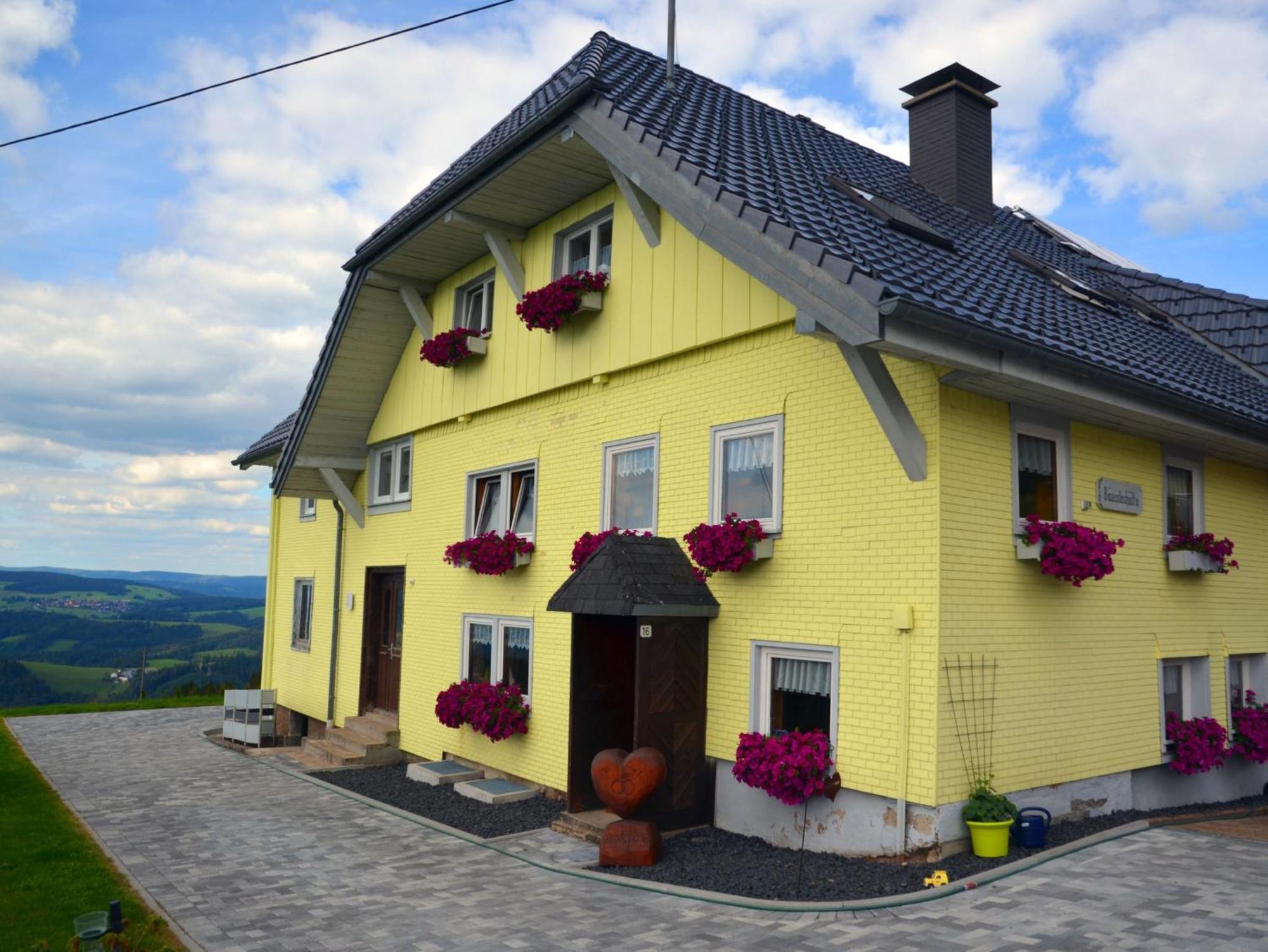 Baeuerleshuette Apartment Breitnau Bagian luar foto