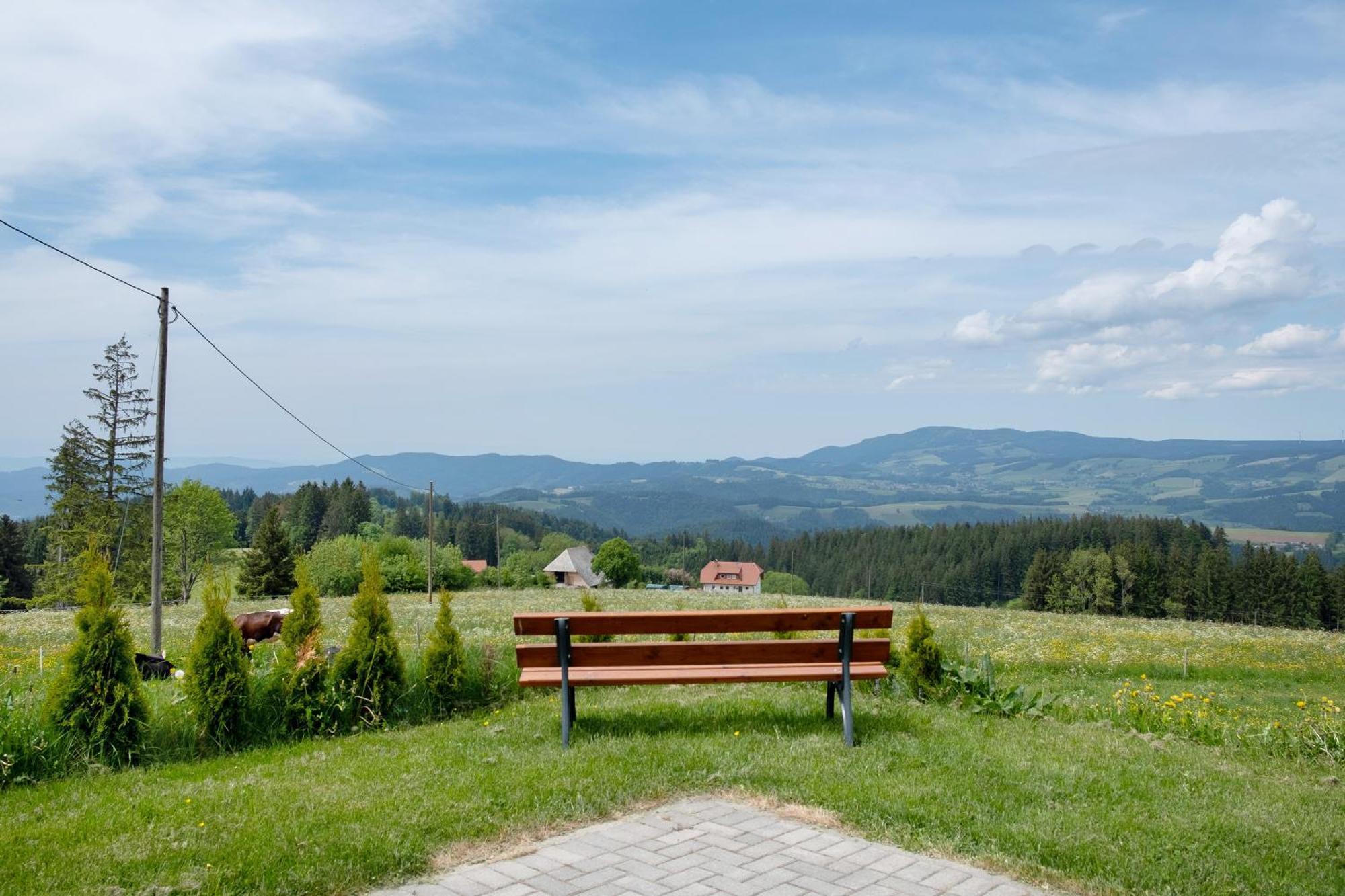 Baeuerleshuette Apartment Breitnau Bagian luar foto