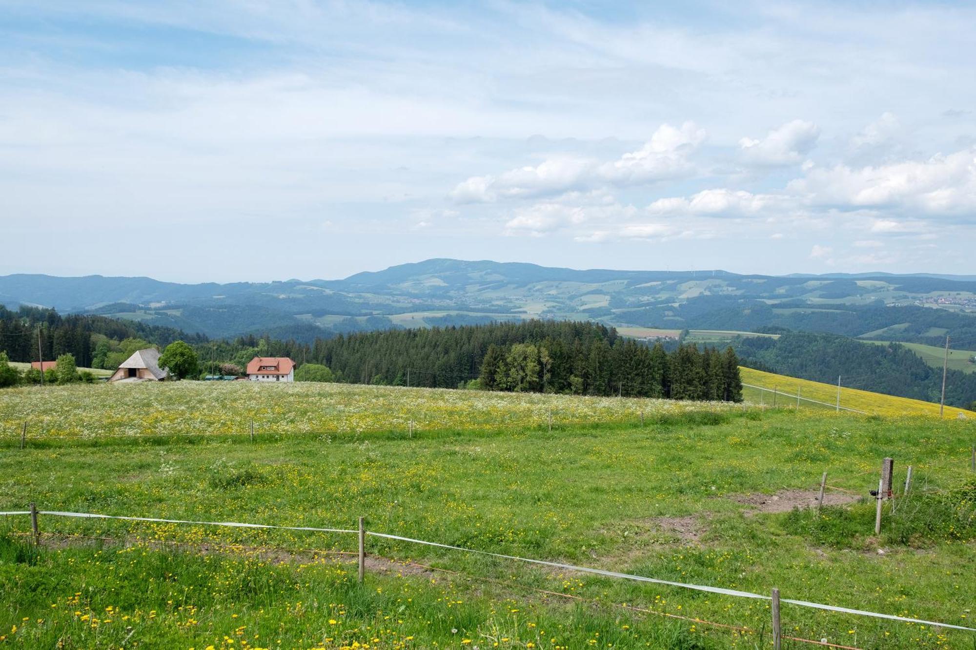 Baeuerleshuette Apartment Breitnau Bagian luar foto
